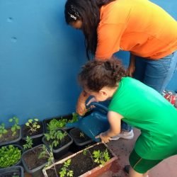 Escola infantil Guarulhos