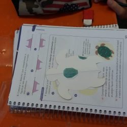 Escola infantil Guarulhos